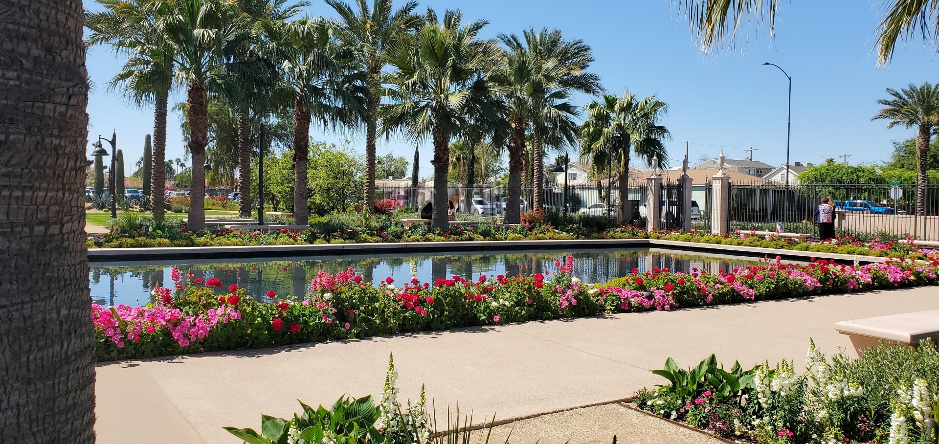 Vintage Wedding Venue - A charming vintage venue perfect for micro weddings, elopements, and intimate celebrations. in Mesa AZ